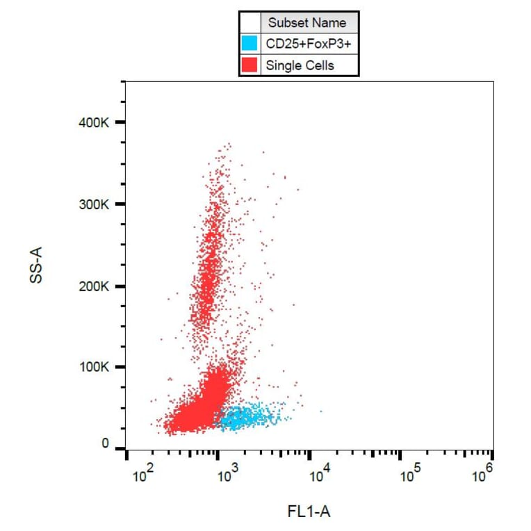 Flow Cytometry - Anti-FOXP3 Antibody [3G3] (Alexa Fluor® 488) (A18698) - Antibodies.com