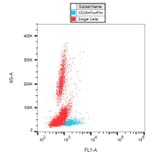 Flow Cytometry - Anti-FOXP3 Antibody [3G3] (Alexa Fluor® 488) (A18698) - Antibodies.com