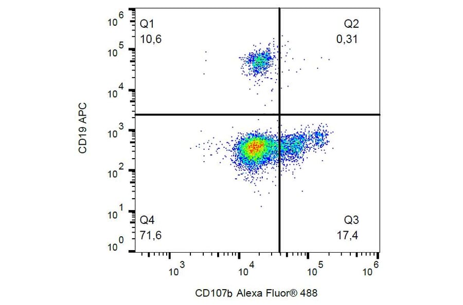 Flow Cytometry - Anti-CD107b Antibody [H4B4] (Alexa Fluor® 488) (A18897) - Antibodies.com