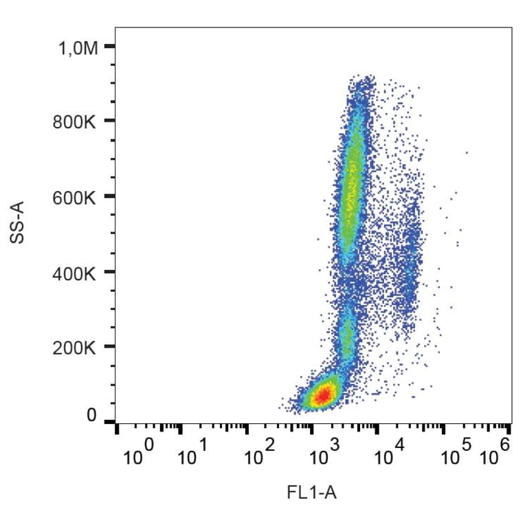 Flow Cytometry - Anti-Mouse IgG2a Antibody [MOPC-173] (Alexa Fluor® 488) (A18720) - Antibodies.com