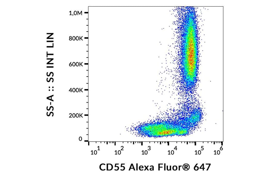 Flow Cytometry - Anti-CD55 Antibody [MEM-118] (Alexa Fluor® 647) (A18824) - Antibodies.com