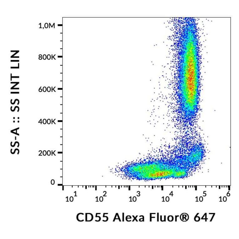 Flow Cytometry - Anti-CD55 Antibody [MEM-118] (Alexa Fluor® 647) (A18824) - Antibodies.com