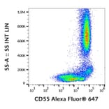 Flow Cytometry - Anti-CD55 Antibody [MEM-118] (Alexa Fluor® 647) (A18824) - Antibodies.com