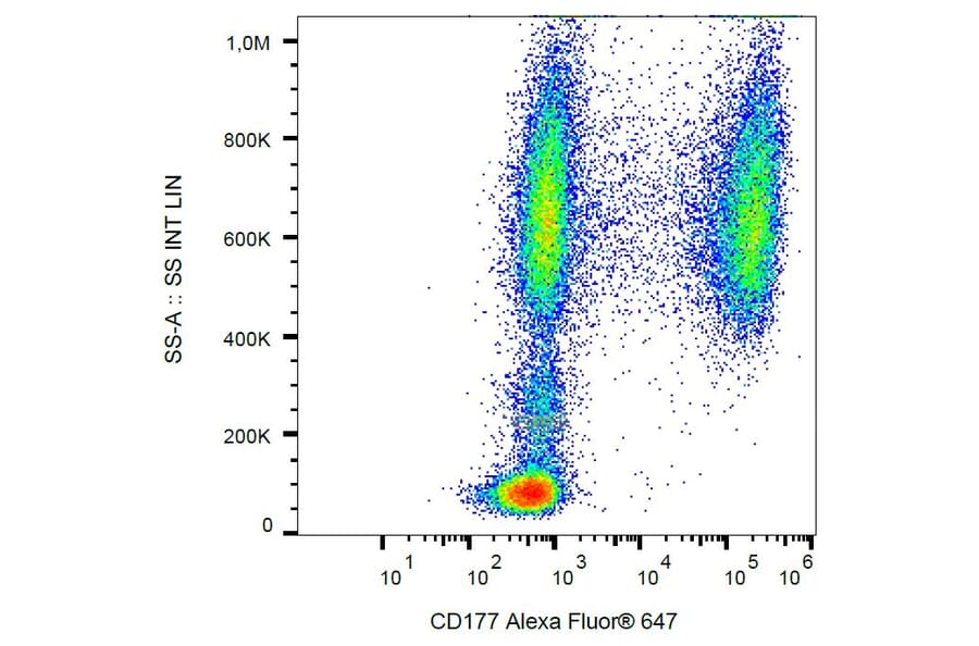 Flow Cytometry - Anti-CD177 Antibody [MEM-166] (Alexa Fluor® 647) (A18838) - Antibodies.com