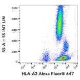Flow Cytometry - Anti-HLA A2 Antibody [BB7.2] (Alexa Fluor® 647) (A18911) - Antibodies.com