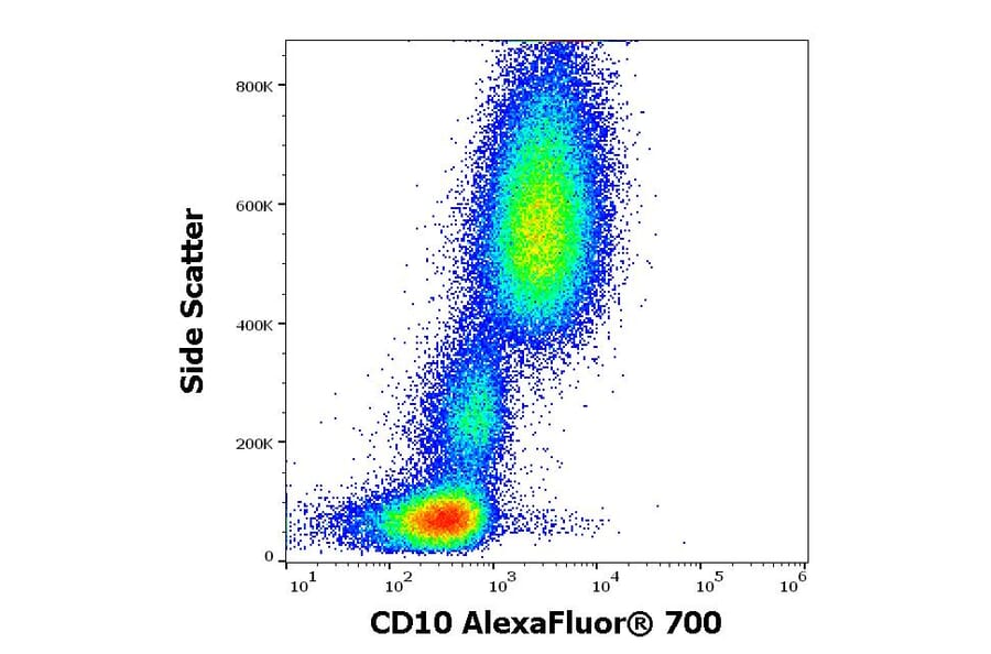 Flow Cytometry - Anti-CD10 Antibody [MEM-78] (Alexa Fluor® 700) (A18767) - Antibodies.com