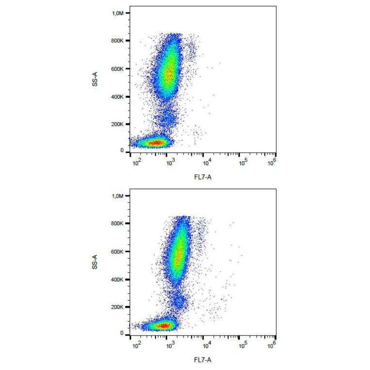 Flow Cytometry - Anti-Mouse IgG2a Antibody [MOPC-173] (Alexa Fluor® 700) (A18784) - Antibodies.com