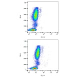 Flow Cytometry - Anti-Mouse IgG2a Antibody [MOPC-173] (Alexa Fluor® 700) (A18784) - Antibodies.com