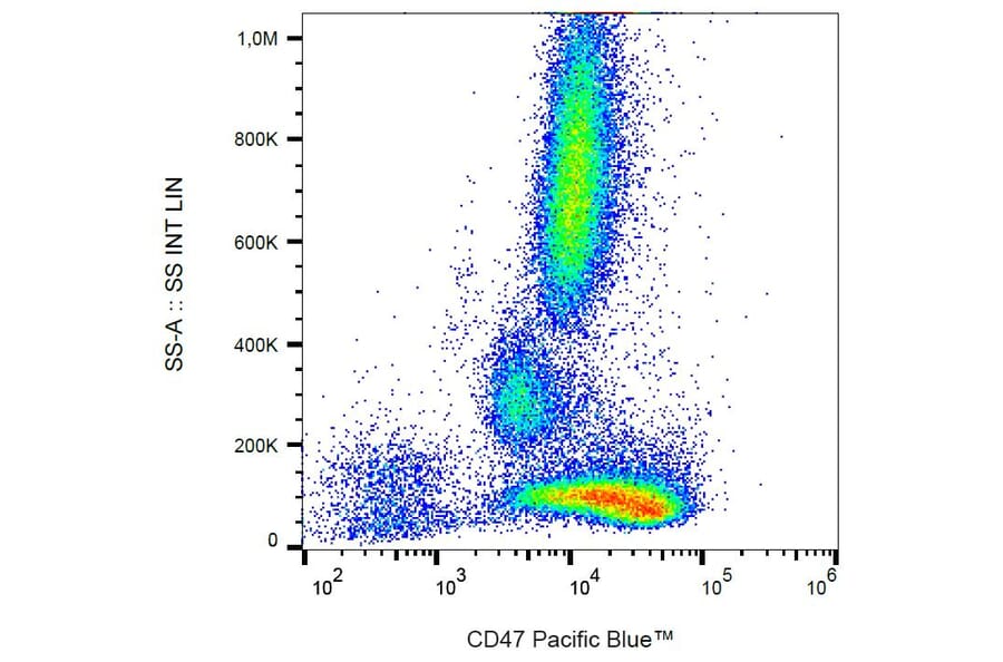 Flow Cytometry - Anti-CD47 Antibody [MEM-122] (Pacific Blue) (A18761) - Antibodies.com