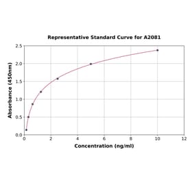 Standard Curve - Rat NF-kB p65 ELISA Kit (A2081) - Antibodies.com