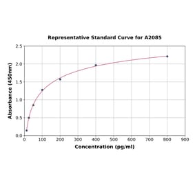 Standard Curve - Mouse LOX 1 ELISA Kit (A2085) - Antibodies.com