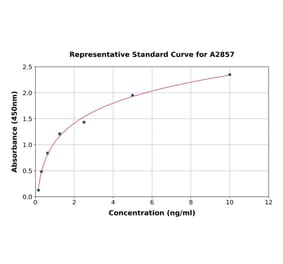 Standard Curve - Human Cytokeratin 17 ELISA Kit (A2857) - Antibodies.com