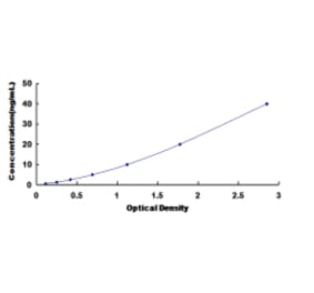 Standard Curve - Human Insulin Like Growth Factor 1 ELISA Kit (DL-IGF1-Hu) - Antibodies.com