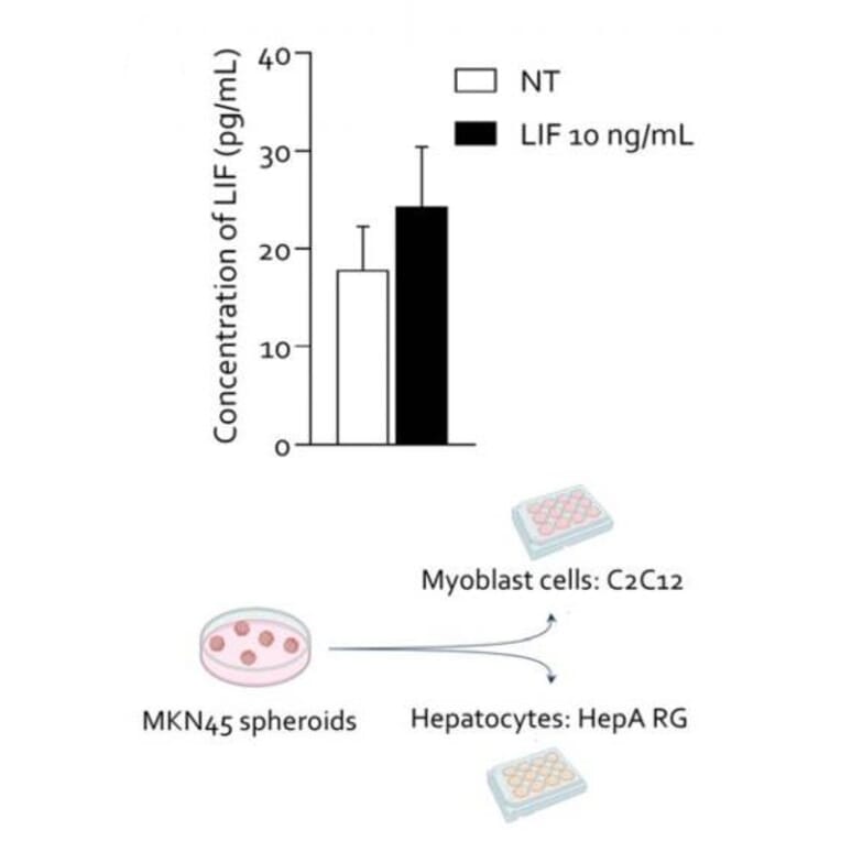ELISA - Human LIF ELISA Kit (A2990) - Antibodies.com