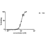 ELISA - Anti-HDAC6 Antibody [159] (A242877)