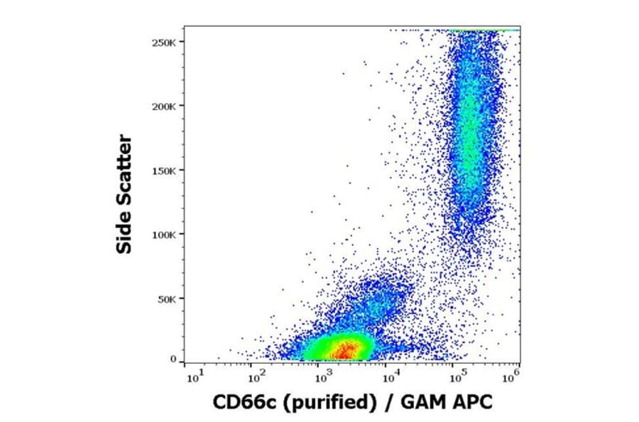 Flow Cytometry - Anti-CD66c Antibody [B6.2] (A242878) - Antibodies.com