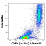 Flow Cytometry - Anti-CD66c Antibody [B6.2] (A242878) - Antibodies.com