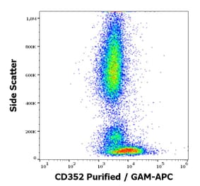 Flow Cytometry - Anti-CD352 Antibody [hsF6.4.20] (A242879) - Antibodies.com