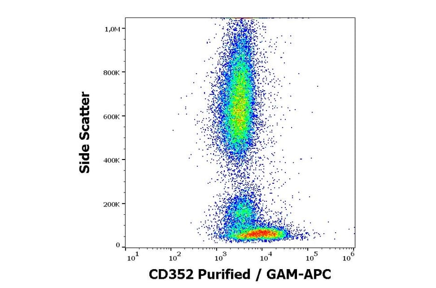 Flow Cytometry - Anti-CD352 Antibody [hsF6.4.20] (A242879) - Antibodies.com