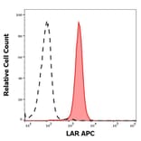 Flow Cytometry - Anti-LAR Antibody [W7C6] (APC) (A242883) - Antibodies.com