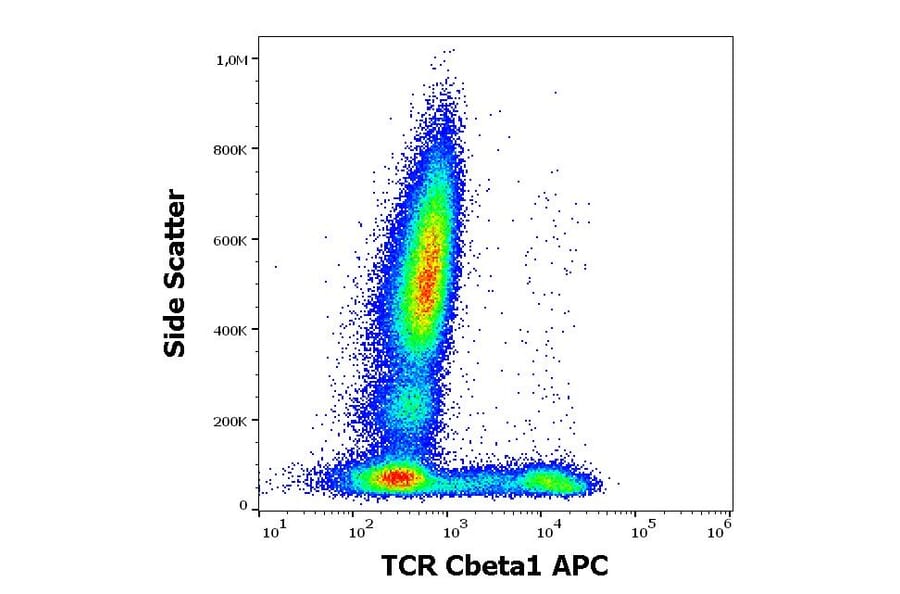 Flow Cytometry - Anti-TCR C beta 1 Antibody [JOVI.1] (APC) (A242886) - Antibodies.com