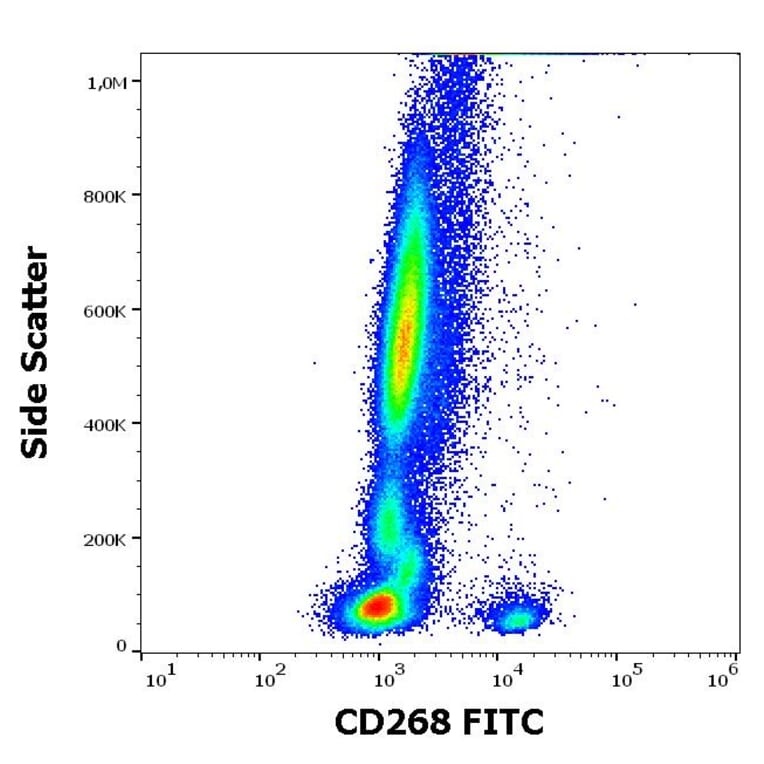 Flow Cytometry - Anti-CD268 Antibody [11C1] (FITC) (A242886) - Antibodies.com