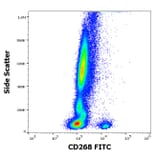 Flow Cytometry - Anti-CD268 Antibody [11C1] (FITC) (A242886) - Antibodies.com