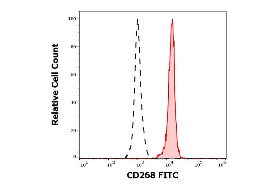 Flow Cytometry - Anti-CD268 Antibody [11C1] (FITC) (A242887) - Antibodies.com