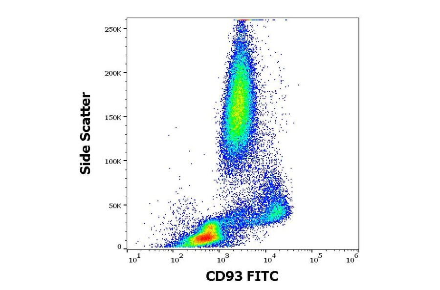 Flow Cytometry - Anti-CD93 Antibody [VIMD2] (FITC) (A242887) - Antibodies.com