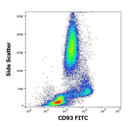 Flow Cytometry - Anti-CD93 Antibody [VIMD2] (FITC) (A242887) - Antibodies.com