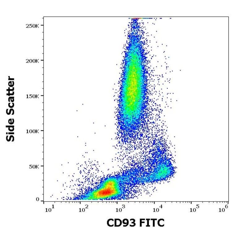 Flow Cytometry - Anti-CD93 Antibody [VIMD2] (FITC) (A242887) - Antibodies.com