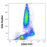 Flow Cytometry - Anti-CD93 Antibody [VIMD2] (FITC) (A242887) - Antibodies.com