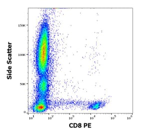 Flow Cytometry - Anti-CD8 Antibody [LT8] (PE) (A242890) - Antibodies.com