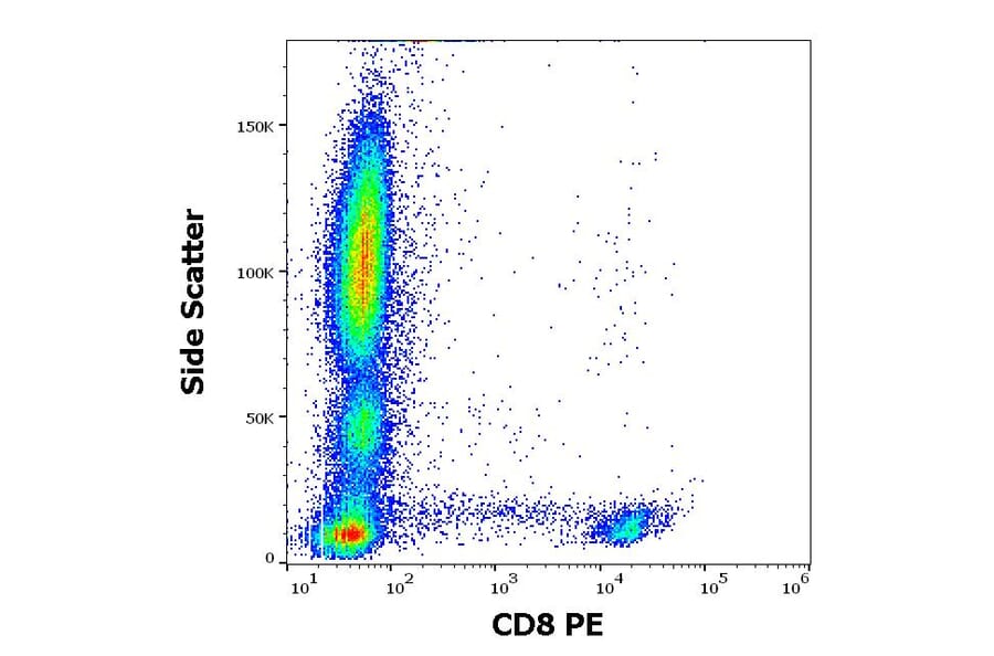 Flow Cytometry - Anti-CD8 Antibody [LT8] (PE) (A242890) - Antibodies.com