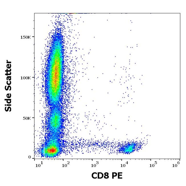 Flow Cytometry - Anti-CD8 Antibody [LT8] (PE) (A242890) - Antibodies.com