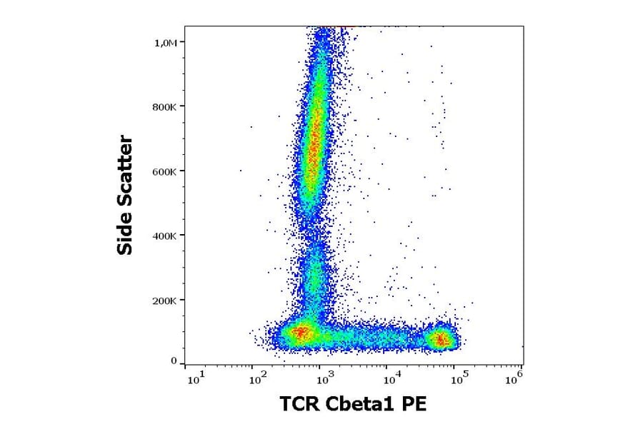 Flow Cytometry - Anti-TCR C beta 1 Antibody [JOVI.1] (PE) (A242892) - Antibodies.com