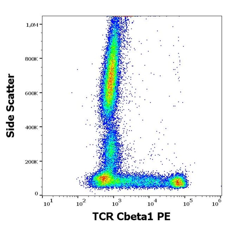 Flow Cytometry - Anti-TCR C beta 1 Antibody [JOVI.1] (PE) (A242892) - Antibodies.com