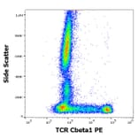 Flow Cytometry - Anti-TCR C beta 1 Antibody [JOVI.1] (PE) (A242892) - Antibodies.com