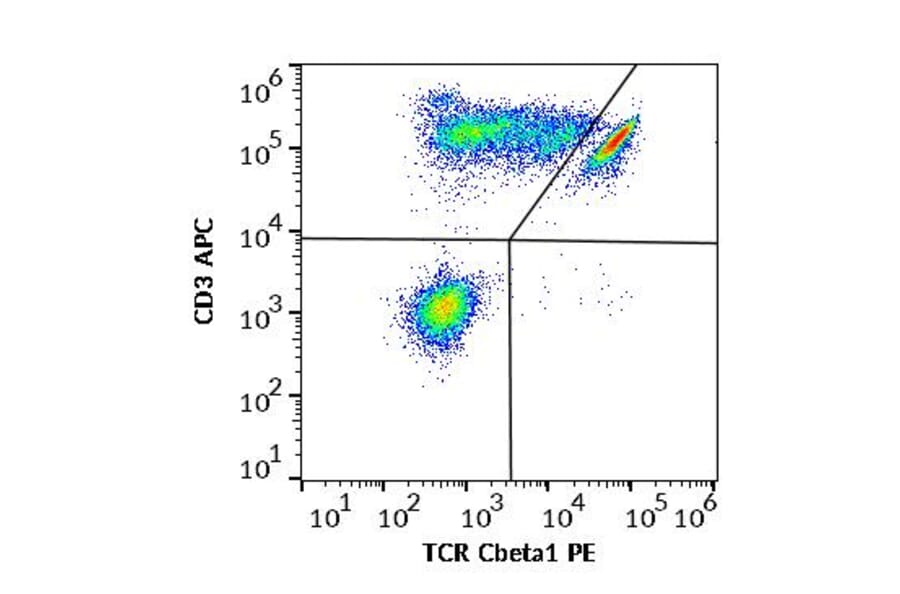 Flow Cytometry - Anti-TCR C beta 1 Antibody [JOVI.1] (PE) (A242891) - Antibodies.com