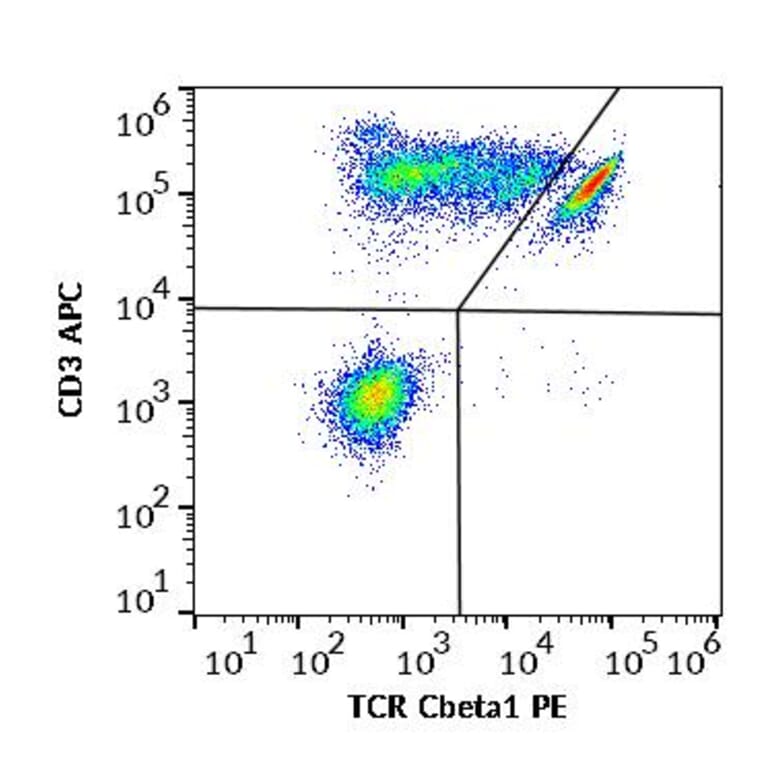 Flow Cytometry - Anti-TCR C beta 1 Antibody [JOVI.1] (PE) (A242891) - Antibodies.com