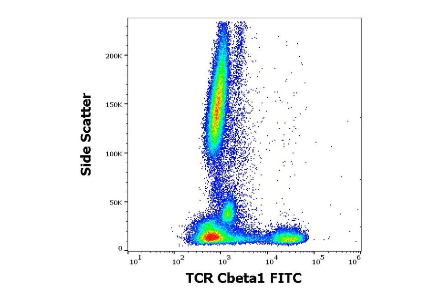 Anti-TCR beta Constant 1 Antibody [JOVI.1] (FITC) (A242893)