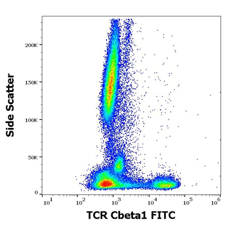 Flow Cytometry - Anti-TCR C beta 1 Antibody [JOVI.1] (FITC) (A242893) - Antibodies.com