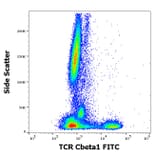 Flow Cytometry - Anti-TCR C beta 1 Antibody [JOVI.1] (FITC) (A242893) - Antibodies.com