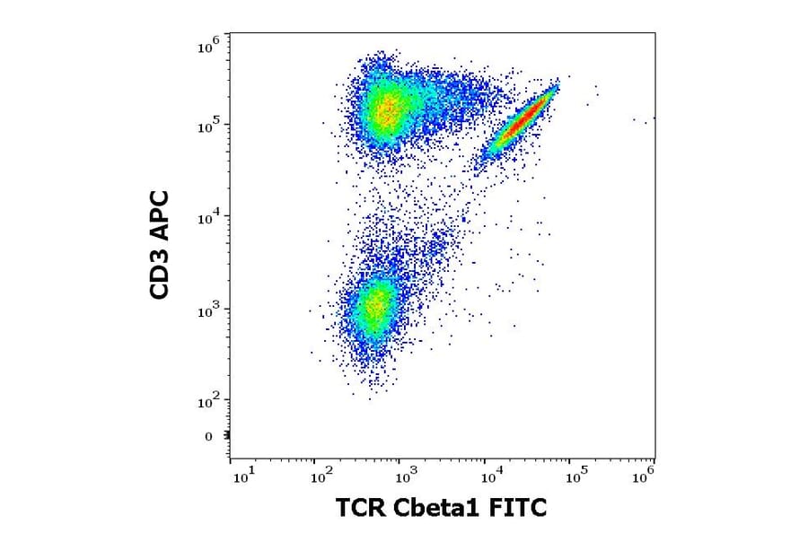 Anti-TCR beta Constant 1 Antibody [JOVI.1] (FITC) (A242893)