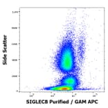 Flow Cytometry - Anti-SIGLEC8 Antibody [7C9] (A242894) - Antibodies.com