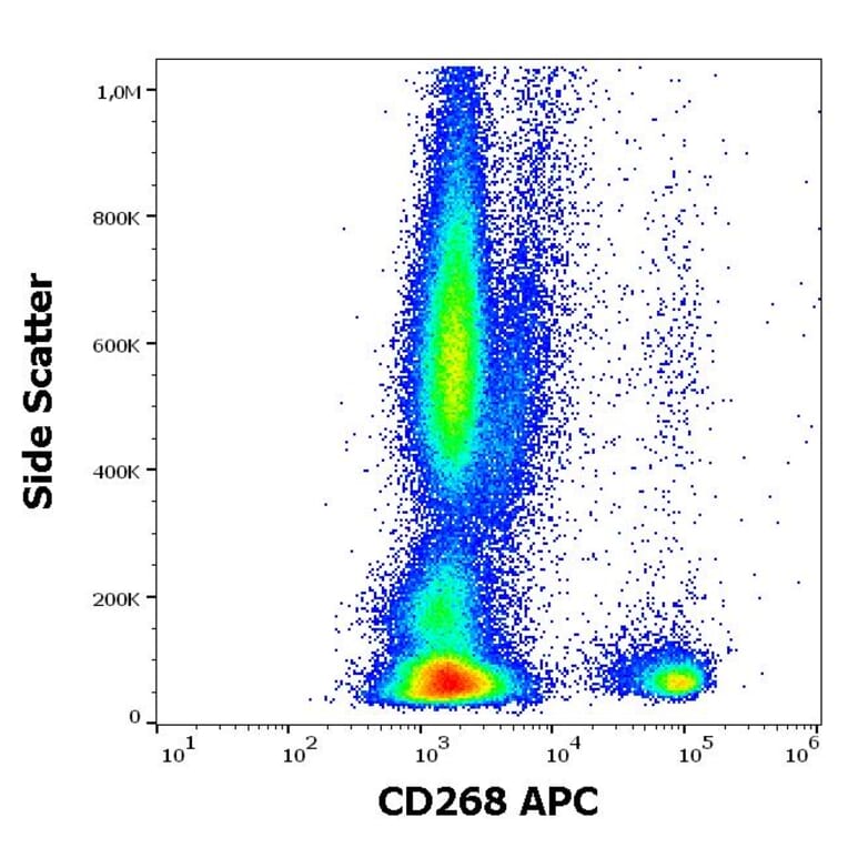 Flow Cytometry - Anti-CD268 Antibody [11C1] (APC) (A242896) - Antibodies.com