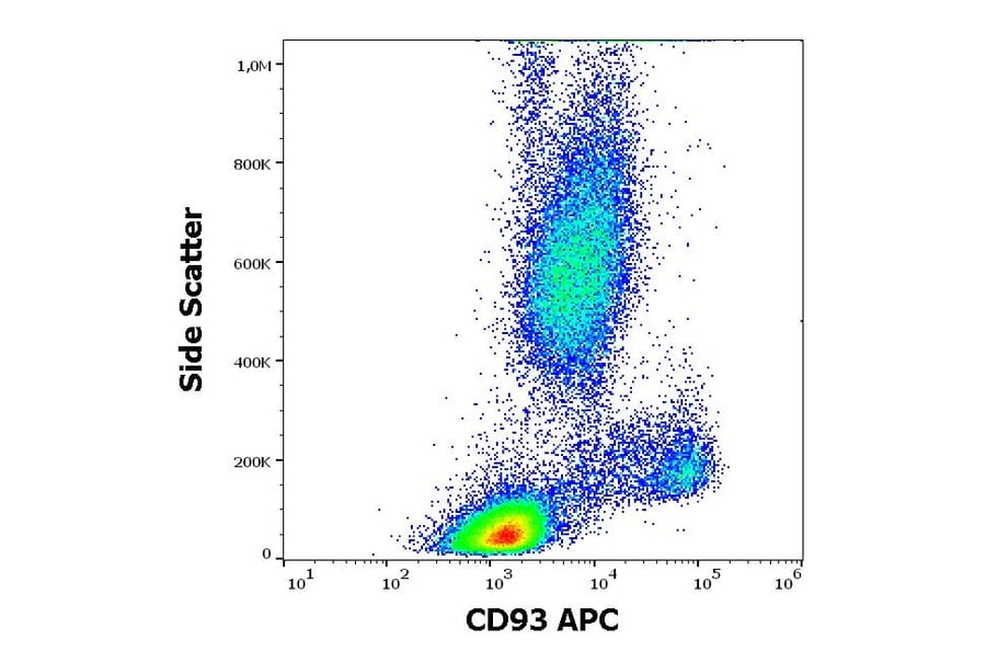 Flow Cytometry - Anti-CD93 Antibody [VIMD2] (APC) (A242897) - Antibodies.com