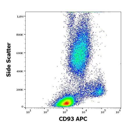 Flow Cytometry - Anti-CD93 Antibody [VIMD2] (APC) (A242897) - Antibodies.com