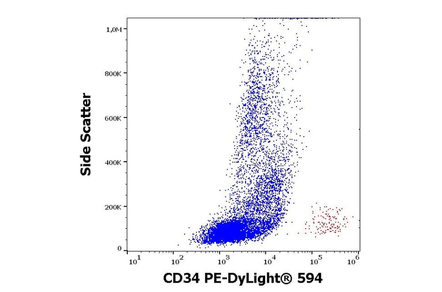 Flow Cytometry - Anti-CD34 Antibody [4H11[APG]] (PE-DyLight® 594) (A242899) - Antibodies.com