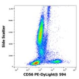 Flow Cytometry - Anti-CD56 Antibody [LT56] (PE-DyLight® 594) (A242901) - Antibodies.com